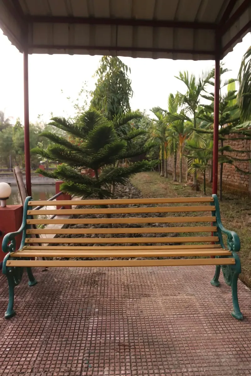 A garden bench under a covered shelter facing a young Norfolk Island pine