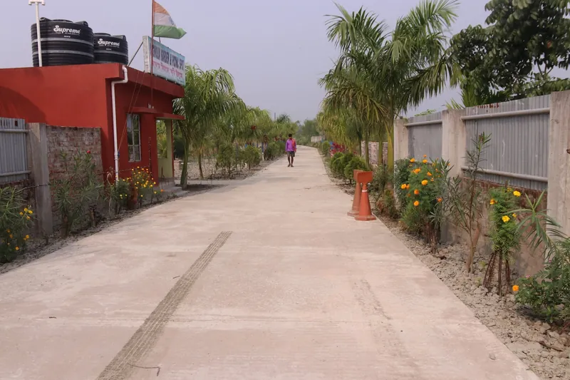 The wide entrance drive lined with palms and flowering marigolds, beside the red office building with the garden's sign