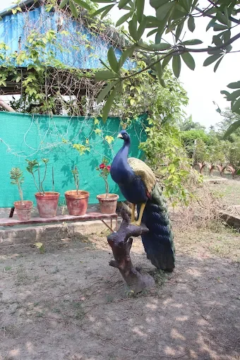 A colourful peacock statue perched on a branch beside potted plants