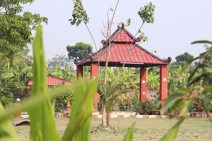 A red-roofed pagoda gazebo seen through tall grass, with banana plants behind