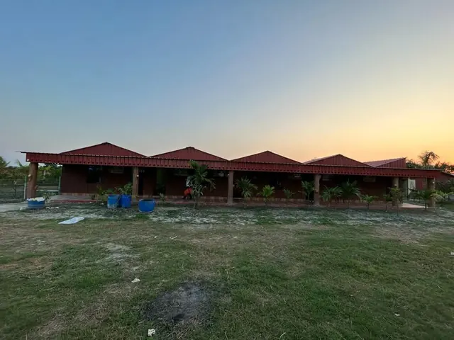 A long red-roofed building with young palms in front, across a lawn at sunset